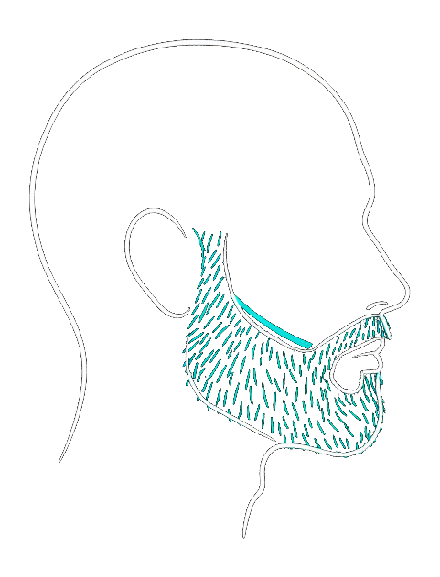 Barba desenhada